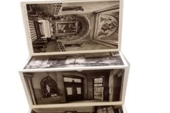 IMG_20240611_145548 IMG_20240611_145548